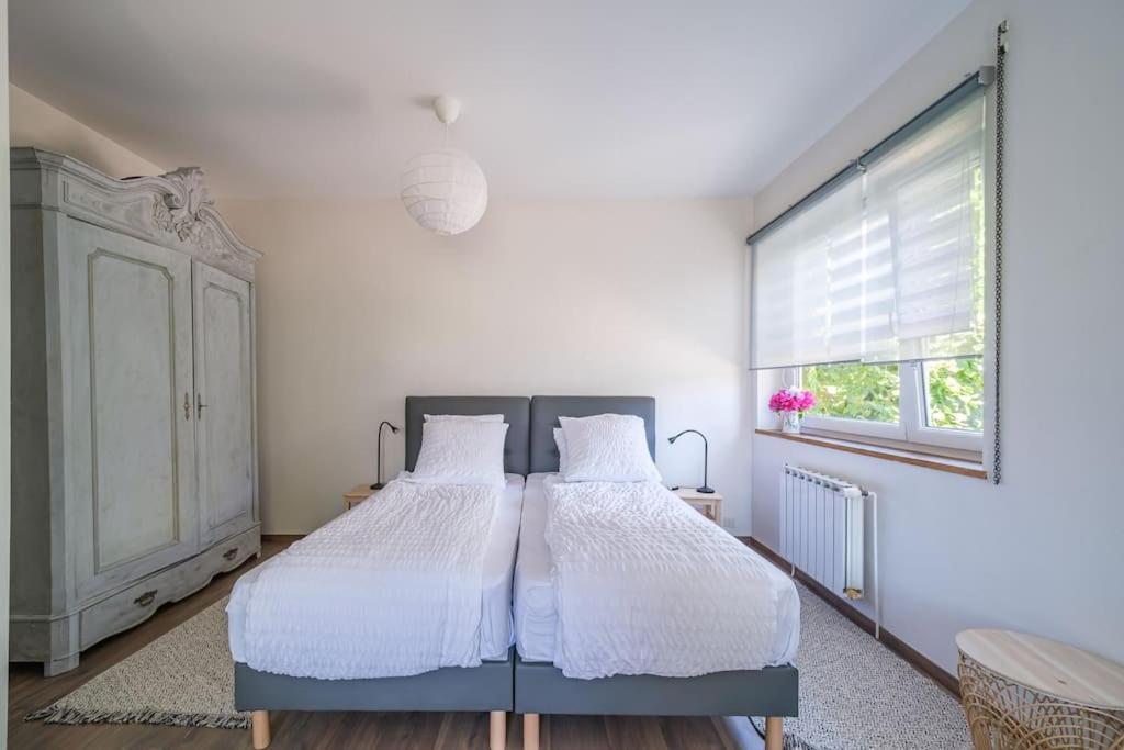 Cosy Home In South Alsace For Work And Leisure Pfastatt Extérieur photo